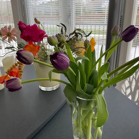 Lovely House On The Water Near Amsterdam