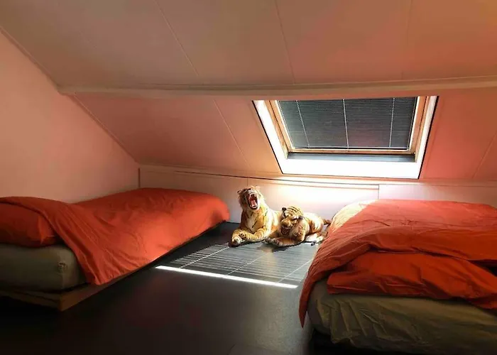 Lovely House On The Water Near Amsterdam