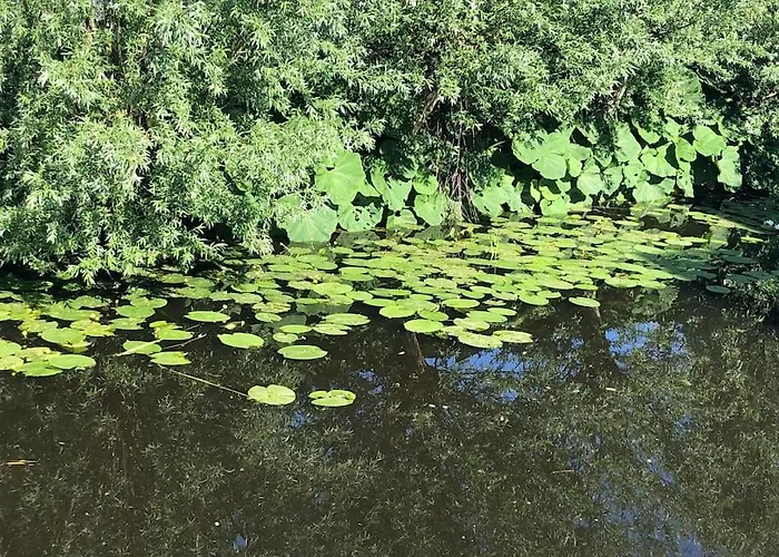 Lovely House On The Water Near Amsterdam Сasa de vacaciones *