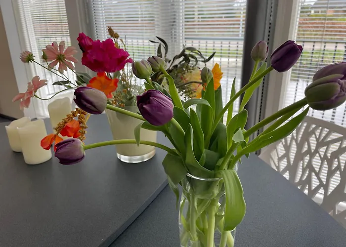 Lovely House On The Water Near Amsterdam